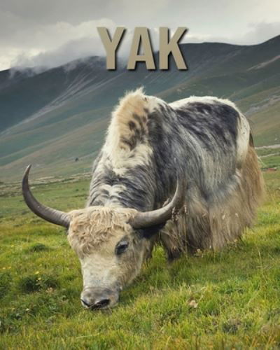 Cover for Dan Anthony · Yak (Paperback Book) (2020)
