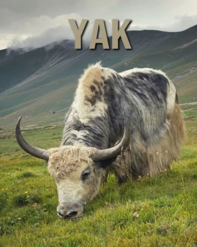 Yak - Dan Anthony - Kirjat - Independently Published - 9798665572192 - lauantai 11. heinäkuuta 2020