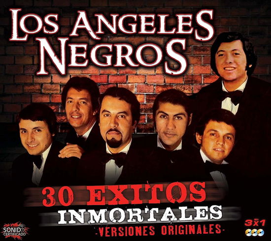 Cover for Los Angeles Negros · Los Angeles Negros-30 Exitos (CD)