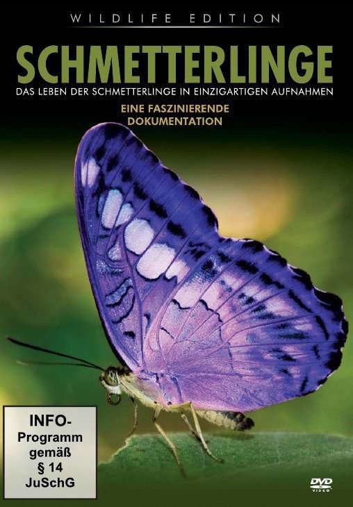 Cover for Doku · Schmetterlinge,dvd (DVD) (2019)