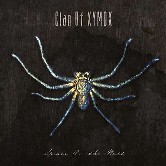 Cover for Clan Of Xymox · Spider On The Wall (LP) (2021)