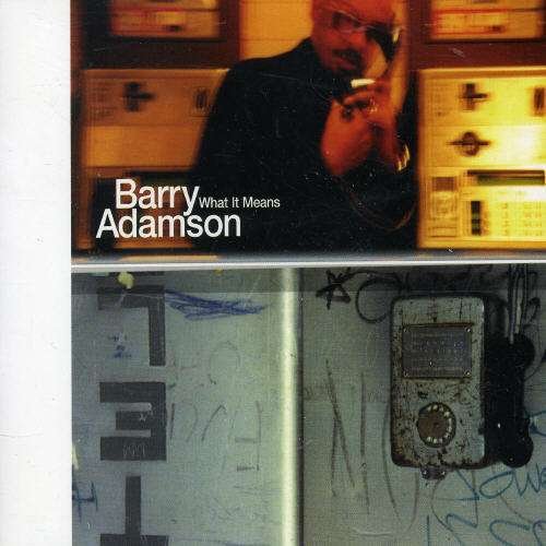 Cover for Barry Adamson · Barry Adamson-what It Means -cds- (CD)