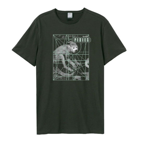 Pixies - Dolittle Amplified Small Vintage Charcoal T Shirt - Pixies - Produtos - AMPLIFIED - 5054488771193 - 