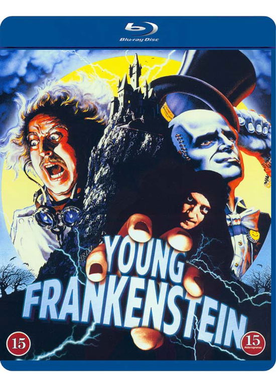 Cover for Young Frankenstein (Blu-Ray) (2013)