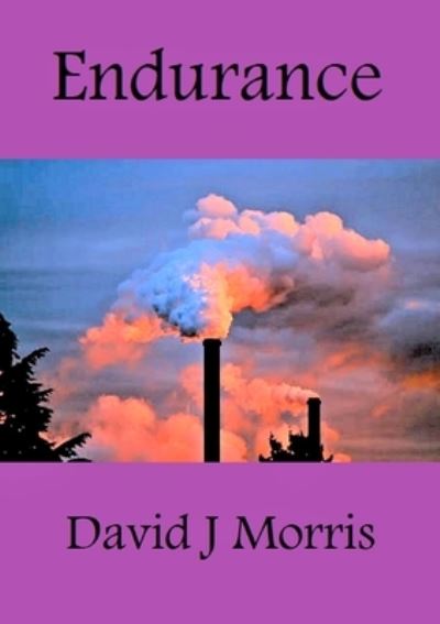 Cover for David J. Morris · Endurance (Book) (2020)