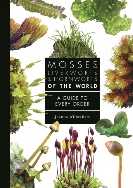 Mosses, Liverworts, and Hornworts of the World: A Guide to Every Order - A Guide to Every Family - Joanna Wilbraham - Books - Princeton University Press - 9780691265193 - August 5, 2025