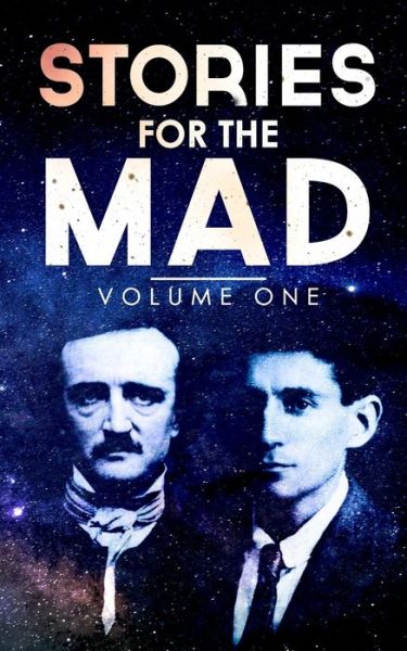 Stories for the Mad - Gabriel Ricard - Books - Moran Press - 9780997949193 - September 17, 2019