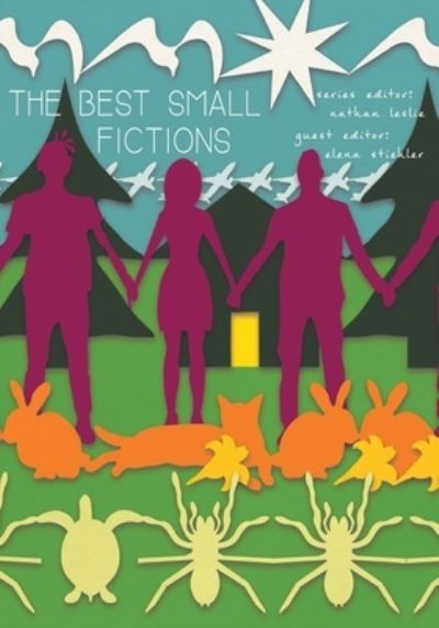 Cover for Elena Stiehler · The Best Small Fictions 2020 Anthology (Paperback Book) (2020)