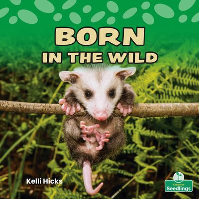 Cover for Kelli Hicks · Born in the Wild (Paperback Book) (2022)