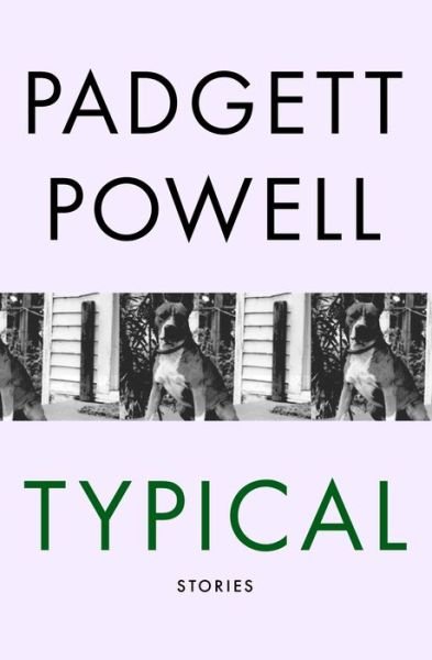 Cover for Padgett Powell · Typical: Stories (Taschenbuch) (2014)