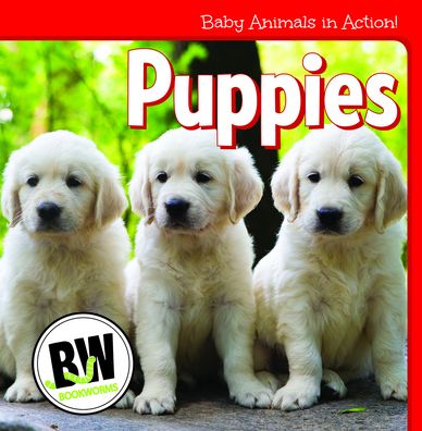 Puppies - Nicole Horning - Books - Cavendish Square Publishing - 9781502656193 - July 30, 2020