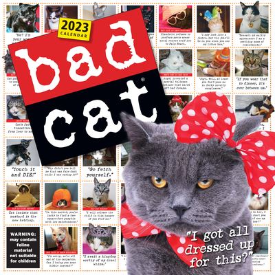 Cover for Workman Calendars · Bad Cat Wall Calendar 2023: Hilarious Photos Celebrating the Misfits of the Feline World (Calendar) (2022)