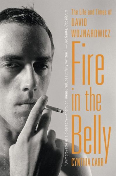 Cover for Cynthia Carr · Fire in the Belly: The Life and Times of David Wojnarowicz (Paperback Book) (2014)