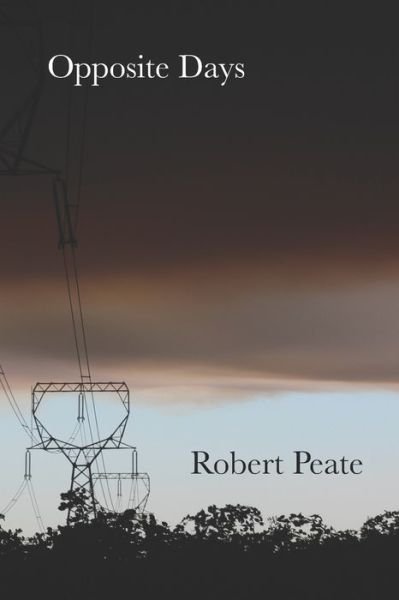 Cover for Robert Peate · Opposite Days (Paperback Bog) (2019)