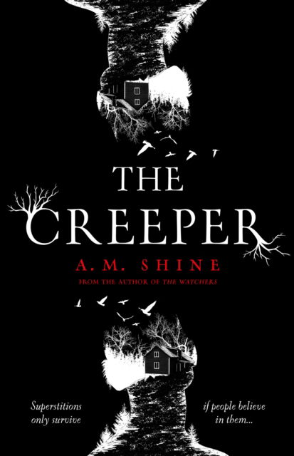 Cover for A.M. Shine · The Creeper (Paperback Book) (2023)