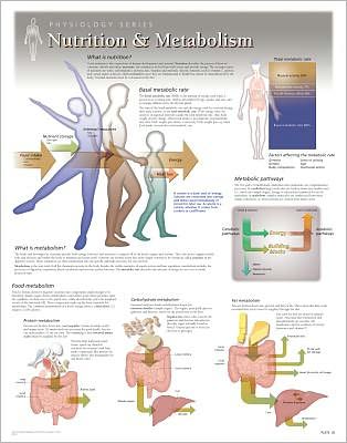 Cover for Scientific Publishing · Nutrition &amp; Metabolism Laminated Poster (Map) (2013)