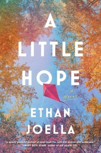 Cover for Ethan Joella · A Little Hope: A Novel (Hardcover Book) (2021)