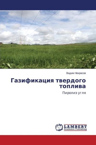 Cover for Nekrasov Vadim · Gazifikatsiya Tverdogo Topliva (Taschenbuch) (2015)