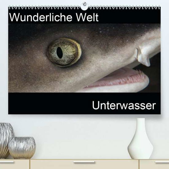 Cover for Bucher · Wunderliche Welt Unterwasser (Pr (Book)