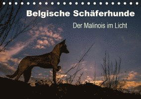 Cover for Brandt · Belgische Schäferhunde - Der Mal (Book)