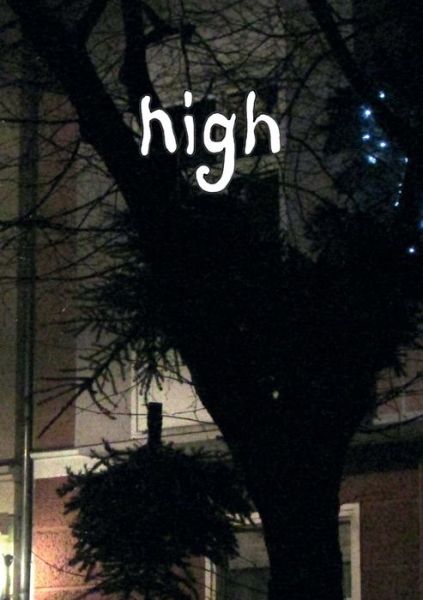 Cover for Maren Roloff · High (Paperback Book) (2015)