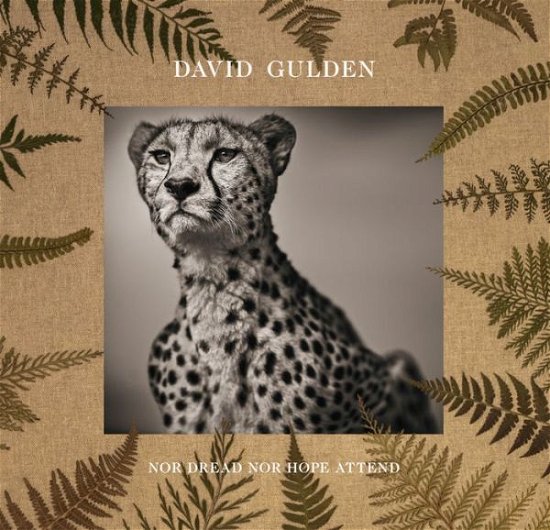 Cover for David Gulden · David Gulden: Nor Dread Nor Hope Attend: Photographs From The Plains of Africa (Gebundenes Buch) (2020)