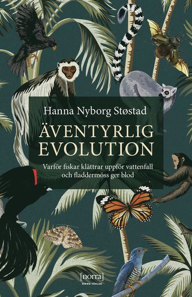 Äventyrlig evolution : varför fiskar klättrar uppför vattenfall och fladdermöss ger blod - Hanna Nyborg Støstad - Books - Norra - 9789188911193 - June 23, 2021