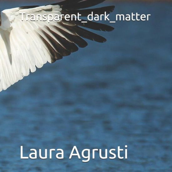 Cover for Laura Agrusti · Transparent_dark_matter (Paperback Book) (2020)