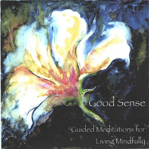 Cover for Judith Day · Good Sense Guided Meditations for Living Mindfully (CD) (2005)