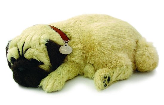 Cover for N/a · N/a - Perfect Petzzz Soft Pug (96194) (Toys)