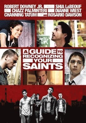 A Guide to Recognizing Your Saints - DVD - Filme - DRAMA - 0760137293194 - 17. Dezember 2019