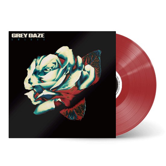 Cover for Grey Daze · Amends (Ltd.red Transparent Vinyl) (LP) (2022)