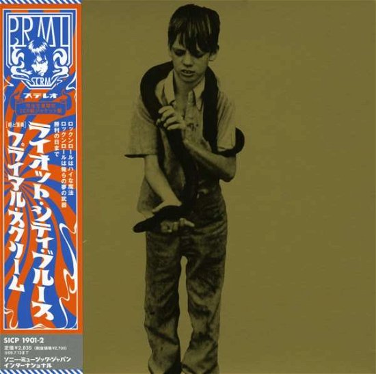 Cover for Primal Scream · Riot City Blues (CD) (2008)