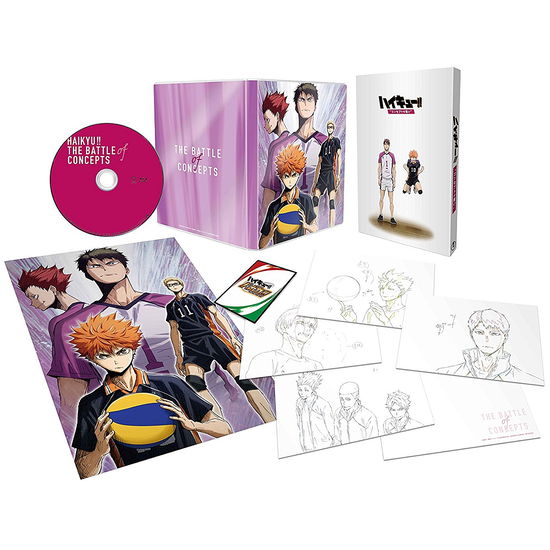 Cover for Furudate Haruichi · Gekijou Ban Soushuuhen Shiratorizawa Gakuen Koukou Sen [haikyu!! Concept No Tata (MDVD) [Japan Import edition] (2018)