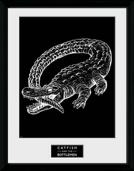 Catfish And The Bottlemen - Alligator (Stampa In Cornice 30x40cm) - Catfish And The Bottlemen - Koopwaar -  - 5028486382194 - 