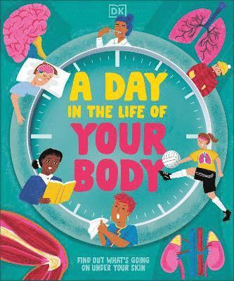 Cover for Dk · A Day in the Life of Your Body: Find Out What's Going on Under Your Skin (Hardcover Book) (2025)