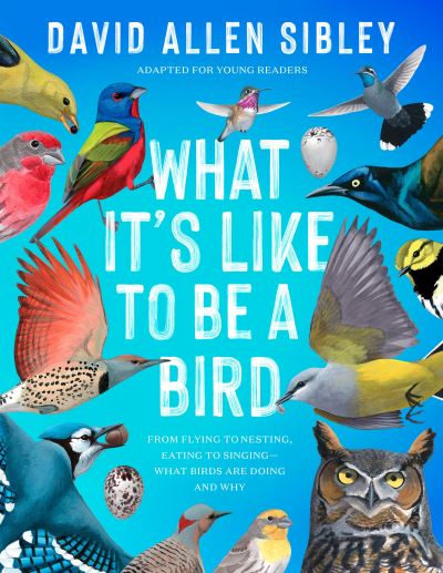 Cover for David Allen Sibley · What It's Like to Be a Bird (Book) (2023)