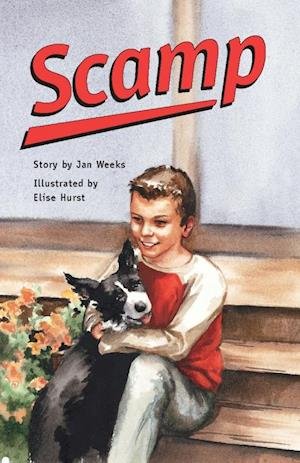 Scamp Individual Student Edition Emerald - Nelson - Books - RIGBY - 9780757841194 - May 1, 2003