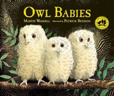 Owl Babies - Martin Waddell - Böcker - Candlewick - 9780763695194 - 12 september 2017