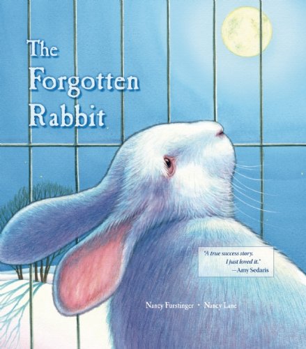 Cover for Nancy Furstinger · The Forgotten Rabbit (Hardcover Book) (2014)