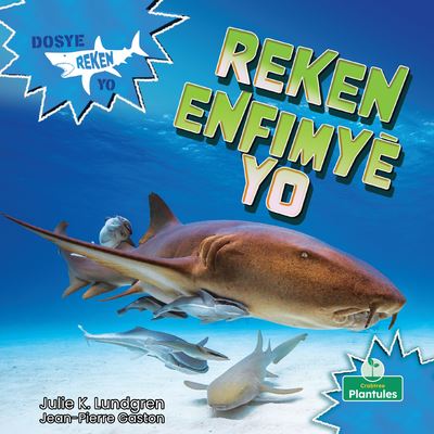 Cover for Julie K Lundgren · Reken Enfimyè (Paperback Book) (2021)