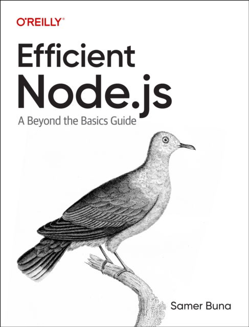 Cover for Samer Buna · Efficient Node.js: A Beyond The Basics Guide (Paperback Book) (2025)