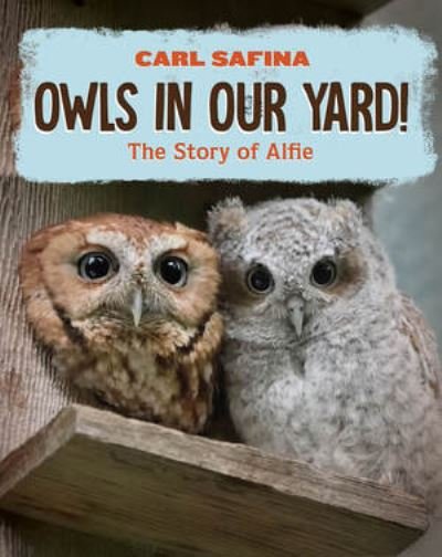 Cover for Carl Safina · Owls in Our Yard!: The Story of Alfie (Hardcover Book) (2024)