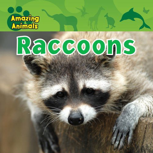 Cover for Karen Baicker · Raccoons (Amazing Animals (Gareth Stevens Library)) (Hardcover Book) [Reprint edition] (2010)