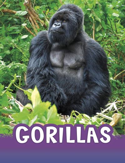 Cover for Jaclyn Jaycox · Gorillas - Animals (Paperback Book) (2021)