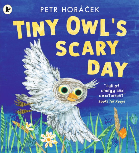 Cover for Petr Horacek · Tiny Owl's Scary Day (Paperback Book) (2024)