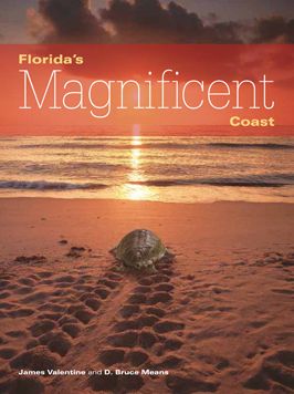 Cover for James Valentine · Florida's Magnificent Coast - Florida Magnificent Wilderness (Paperback Book) (2015)