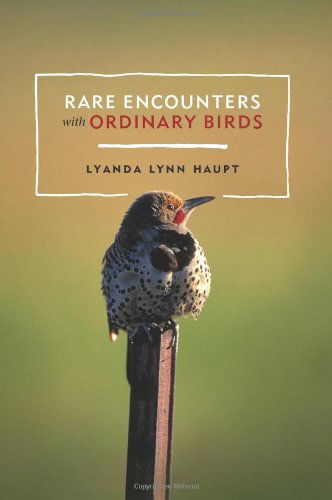 Cover for Lyanda Lynn Haupt · Rare Encounters with Ordinary Birds (Paperback Book) (2004)