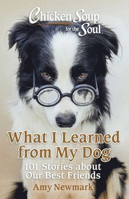 Cover for Amy Newmark · Chicken Soup for the Soul: What I Learned from My Dog: 101 Stories about Our Best Friends (Paperback Book) (2025)