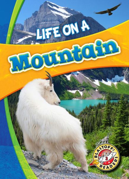 Cover for Laura Hamilton Waxman · Life in a Mountain - Biomes Alive! (Hardcover Book) (2019)